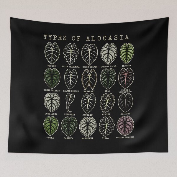 Item preview, Types of Alocasia Leaf Art for Plant Lovers designed and sold by rafaeltto.