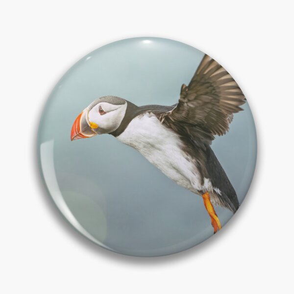Item preview, Puffin in Flight Iceland designed and sold by PhotoArt by Joan Carroll.