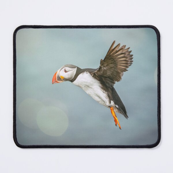 Item preview, Puffin in Flight Iceland designed and sold by PhotoArt by Joan Carroll.