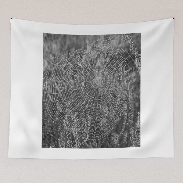 Item preview, Intricate Morning Dew Spiderweb designed and sold by GwenethPaulie.
