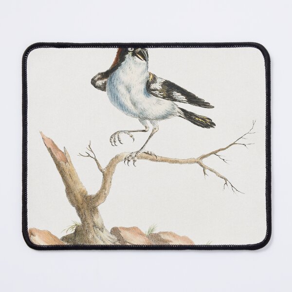 Item preview, Vintage Bird Illustration designed and sold by Gilmour-Prints.