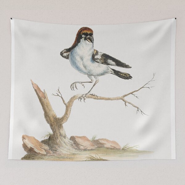 Item preview, Vintage Bird Illustration designed and sold by Gilmour-Prints.