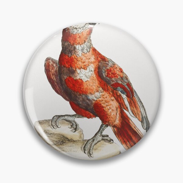 Item preview, Vintage Red Macaw Print designed and sold by Gilmour-Prints.