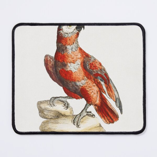 Item preview, Vintage Red Macaw Print designed and sold by Gilmour-Prints.