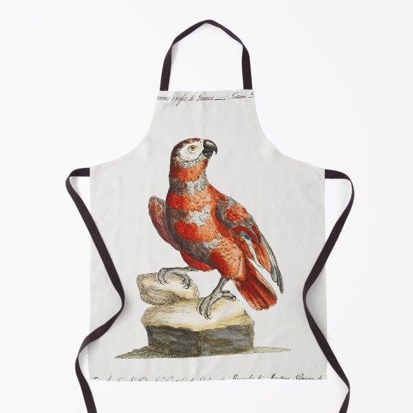 Item preview, Vintage Red Macaw Print designed and sold by Gilmour-Prints.