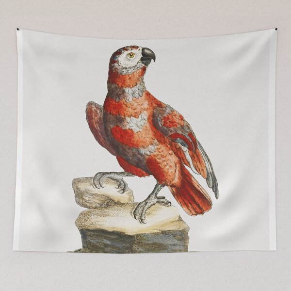 Item preview, Vintage Red Macaw Print designed and sold by Gilmour-Prints.
