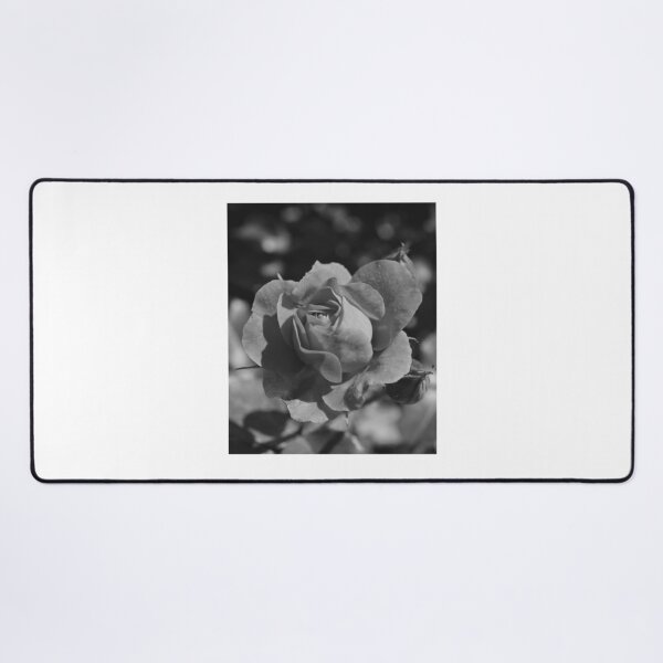 Item preview, Velvet Monotone Rose Petal Bloom designed and sold by GwenethPaulie.