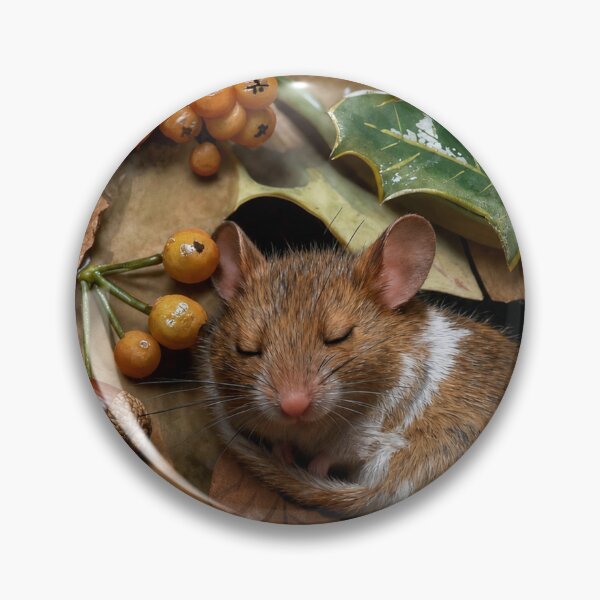 Item preview, Sleeping mouse designed and sold by Jonsmartdesigns.