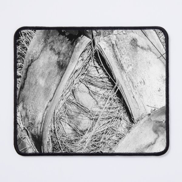 Item preview, Close-Up Black and White Photo of Textured Natural Palm Tree Trunk designed and sold by Nmallia.