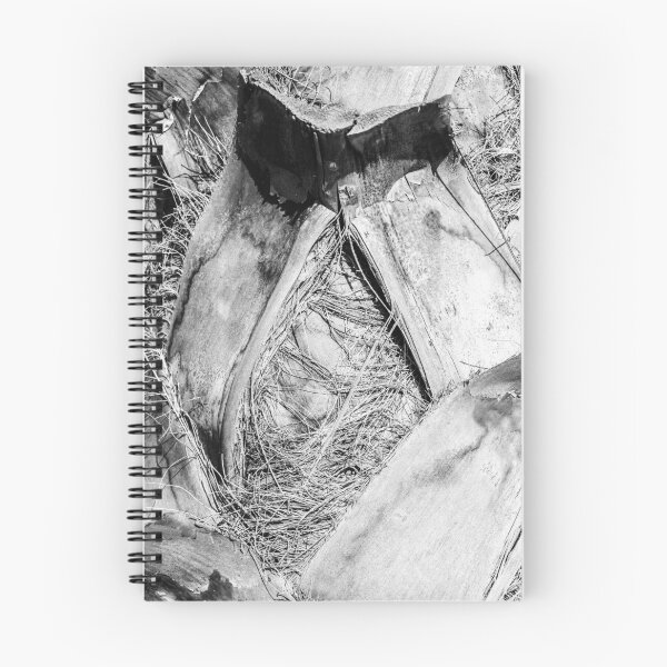 Item preview, Close-Up Black and White Photo of Textured Natural Palm Tree Trunk designed and sold by Nmallia.