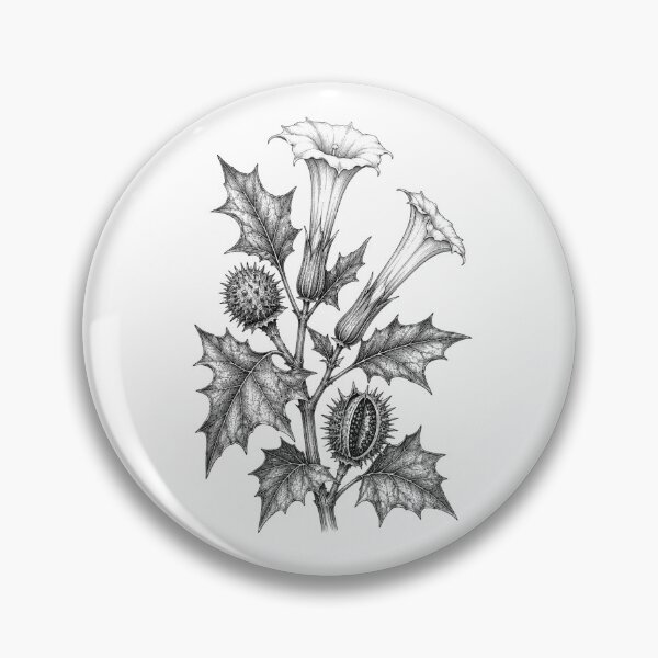 Item preview, Datura: The Devil’s Trumpet designed and sold by VinterMoonlight.