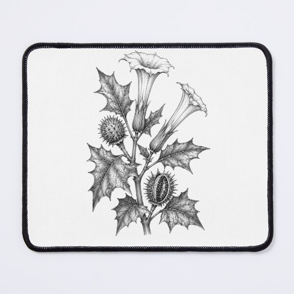Item preview, Datura: The Devil’s Trumpet designed and sold by VinterMoonlight.