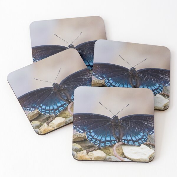Item preview, My favorite color is butterfly blue.  designed and sold by South 500 Photography.