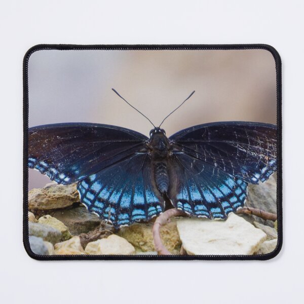Item preview, My favorite color is butterfly blue. designed and sold by South 500 Photography.