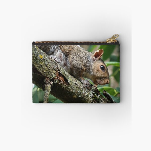 Item preview, Nut Hunt designed and sold by MoonGPhotos.