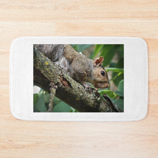 Item preview, Nut Hunt designed and sold by MoonGPhotos.