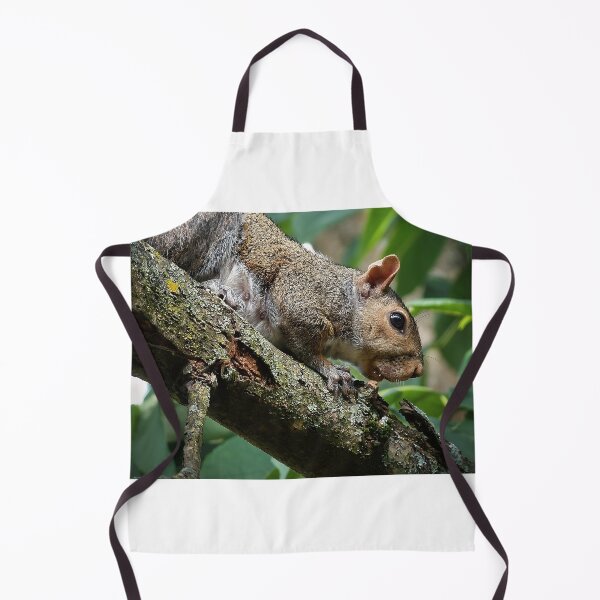 Item preview, Nut Hunt designed and sold by MoonGPhotos.