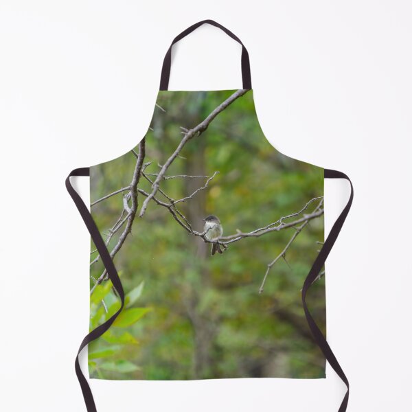 Item preview, An Eastern Phoebe relaxes on a branch in the forest. designed and sold by South 500 Photography.