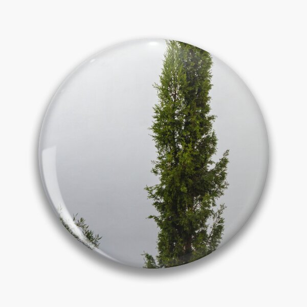Item preview, Tall Evergreen Tree Against a White Wall in a Meditative Garden designed and sold by Nmallia.