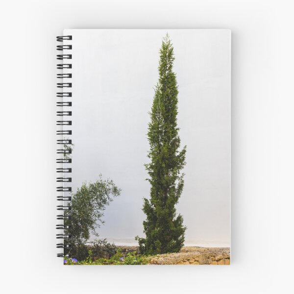 Item preview, Tall Evergreen Tree Against a White Wall in a Meditative Garden designed and sold by Nmallia.