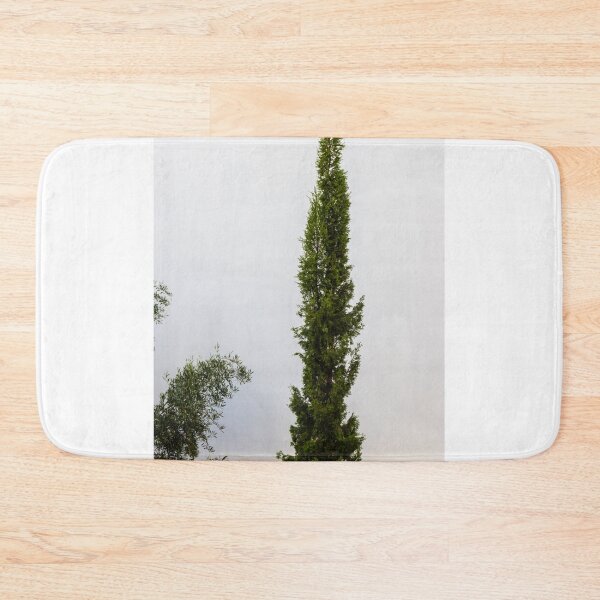 Item preview, Tall Evergreen Tree Against a White Wall in a Meditative Garden designed and sold by Nmallia.
