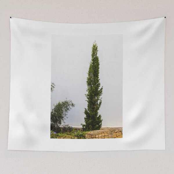 Item preview, Tall Evergreen Tree Against a White Wall in a Meditative Garden designed and sold by Nmallia.