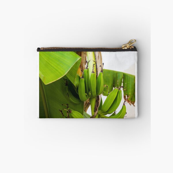 Item preview, Close-Up Shot of Green Bananas Growing on a Tree in Natural Light designed and sold by Nmallia.