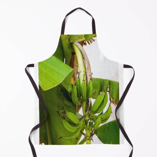 Item preview, Close-Up Shot of Green Bananas Growing on a Tree in Natural Light designed and sold by Nmallia.