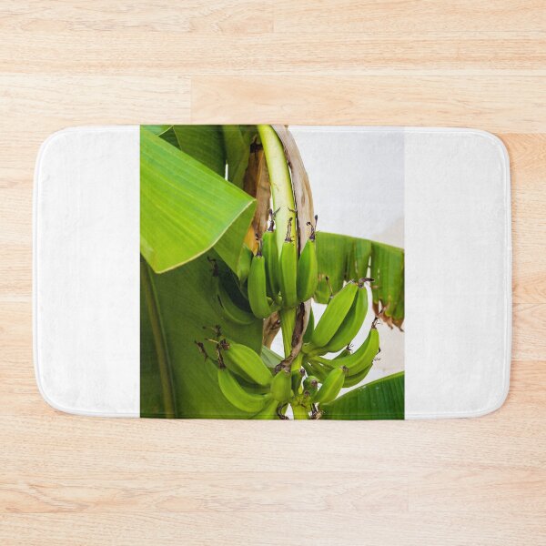 Item preview, Close-Up Shot of Green Bananas Growing on a Tree in Natural Light designed and sold by Nmallia.