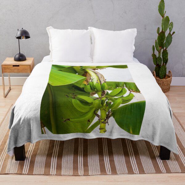 Item preview, Close-Up Shot of Green Bananas Growing on a Tree in Natural Light designed and sold by Nmallia.