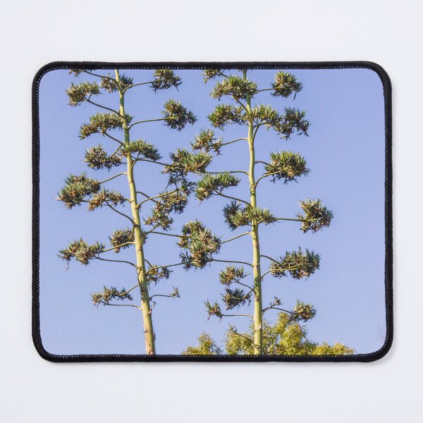 Item preview, Tall Agave Plants with Flowers Against a Clear Blue Sky designed and sold by Nmallia.
