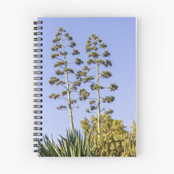 Item preview, Tall Agave Plants with Flowers Against a Clear Blue Sky designed and sold by Nmallia.
