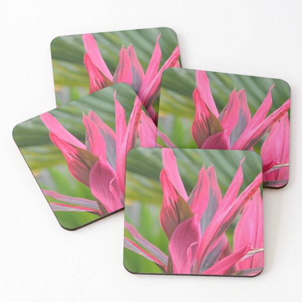 Item preview, Vibrant Pink Ti Leaf Plant in Sunlight designed and sold by MiraNadaPrints.