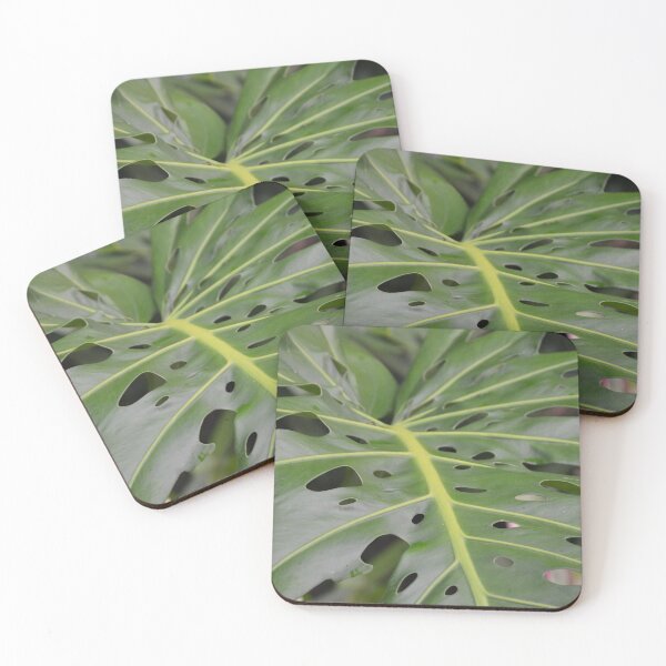 Item preview, Intricate Monstera Leaf with Natural Perforations designed and sold by MiraNadaPrints.