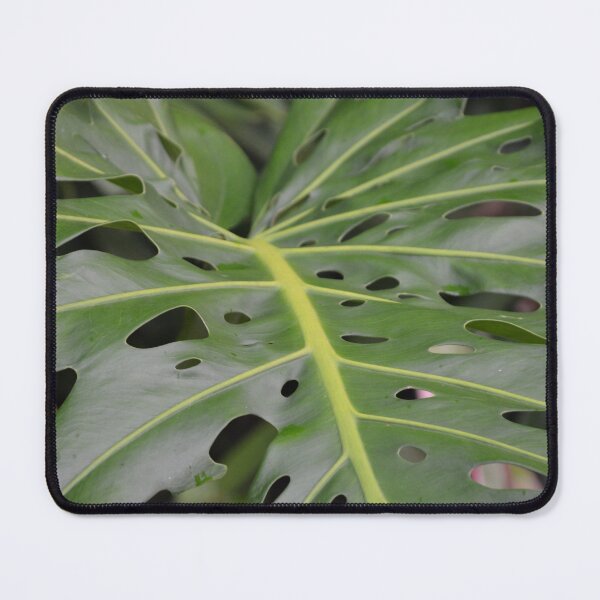 Item preview, Intricate Monstera Leaf with Natural Perforations designed and sold by MiraNadaPrints.