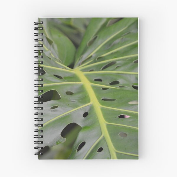 Item preview, Intricate Monstera Leaf with Natural Perforations designed and sold by MiraNadaPrints.