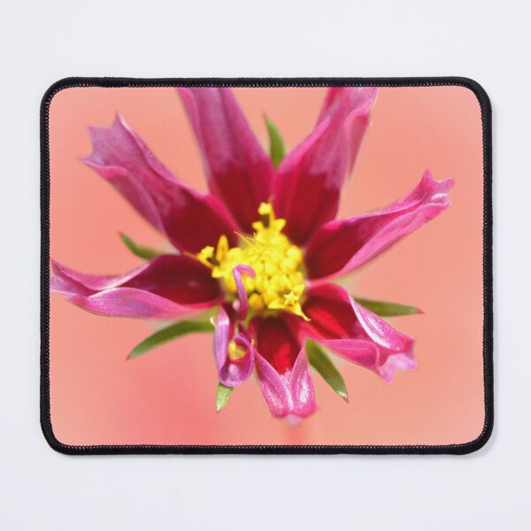 Item preview, Blush Pink Cosmos designed and sold by SilentBloomLab.