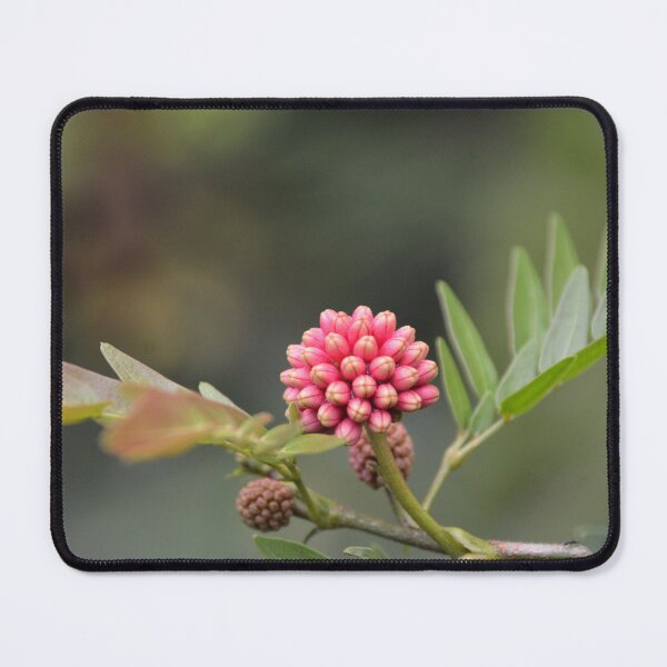 Item preview, Pink Powderpuff Flower Buds on Branch designed and sold by MiraNadaPrints.