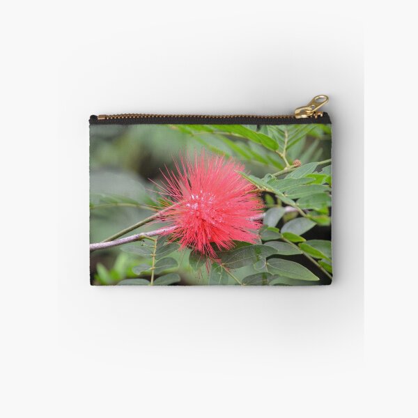 Item preview, Vivid Red Powderpuff Bloom in Sunlight designed and sold by MiraNadaPrints.