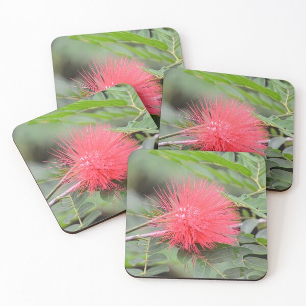 Item preview, Vivid Red Powderpuff Bloom in Sunlight designed and sold by MiraNadaPrints.
