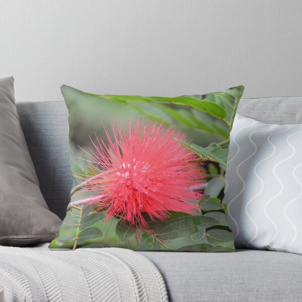 Item preview, Vivid Red Powderpuff Bloom in Sunlight designed and sold by MiraNadaPrints.