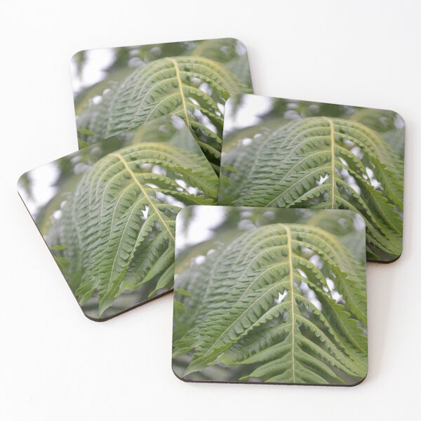 Item preview, Arched Hawaiian Tree Fern Frond Close Up designed and sold by MiraNadaPrints.