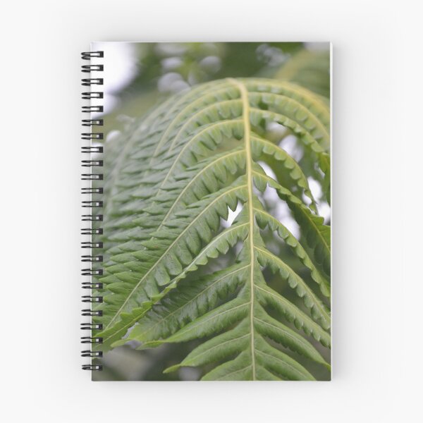 Item preview, Arched Hawaiian Tree Fern Frond Close Up designed and sold by MiraNadaPrints.