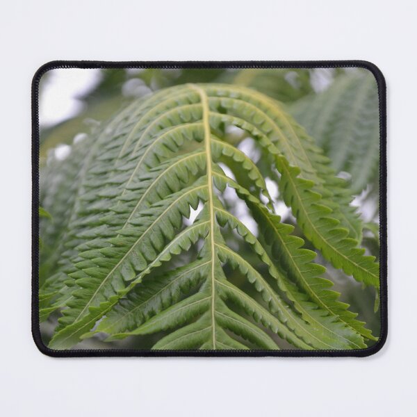 Item preview, Arched Hawaiian Tree Fern Frond Close Up designed and sold by MiraNadaPrints.