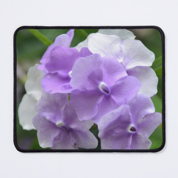 Item preview, Soft Purple and White Yesterday Today Tomorrow Blooms designed and sold by MiraNadaPrints.