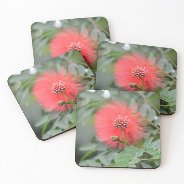 Item preview, Pink Powderpuff Flower Buds in Soft Focus designed and sold by MiraNadaPrints.
