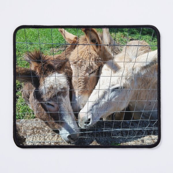 Item preview, Three Adorable Donkeys Snuggling Together - Farm Animals Love designed and sold by EpicVistas.