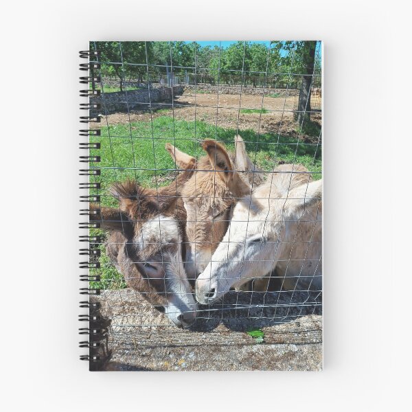 Item preview, Three Adorable Donkeys Snuggling Together - Farm Animals Love designed and sold by EpicVistas.