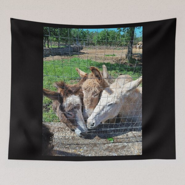 Item preview, Three Adorable Donkeys Snuggling Together - Farm Animals Love designed and sold by EpicVistas.