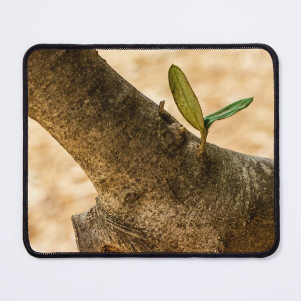 Item preview, Close-Up of Tree Branch with Growing Green Leaves designed and sold by Nmallia.